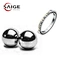 Steel Ball